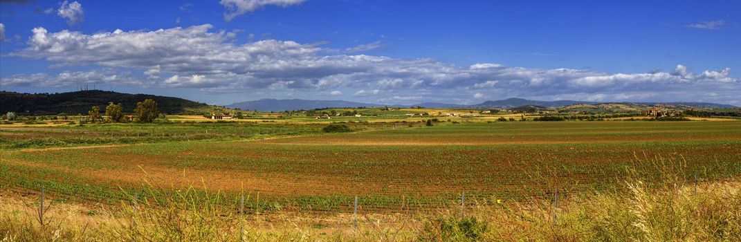 Toscana nature panorama landscape by day, Italy