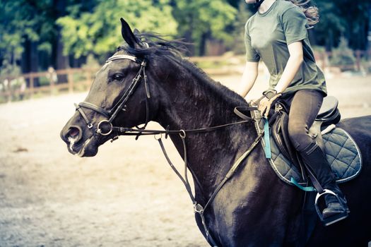 girl sportsman rides on horse training outdoors