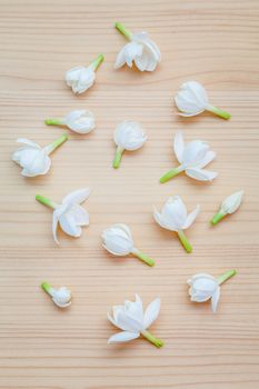 White jasmine flowers on wooden background. The delicate rain season flowers.