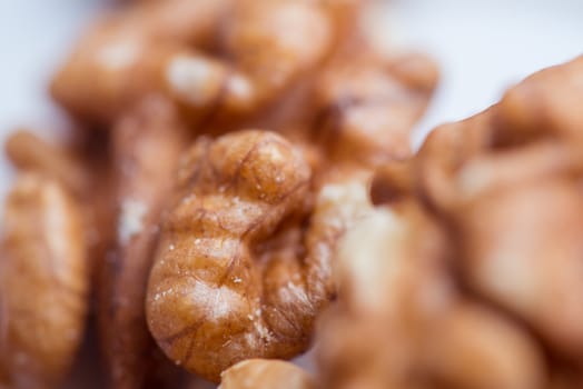 Close-up walnut on a white background. Macro shot