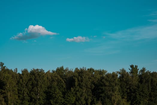 gorgeous summer forest against clouds.