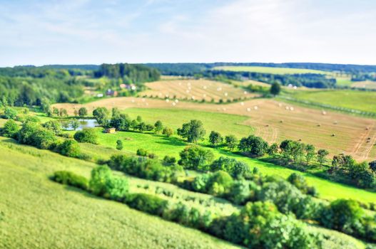 Image of summer green meadow with tilt shift effect.