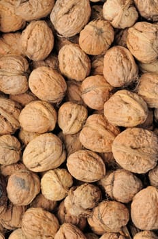 Macro background with a lot of fresh walnut.