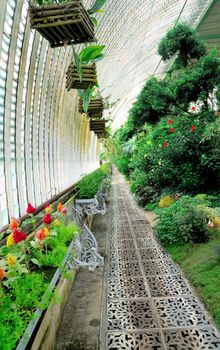 Indoor shot at big greenhouse with european flowers.