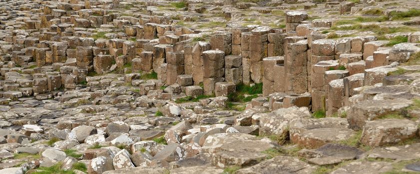 Closeup shot of Giants Causeway stones, Northern Ireland.