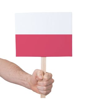 Hand holding small card, isolated on white - Flag of Poland