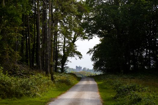 view of ross castle at the end of a killarney forest path in ireland