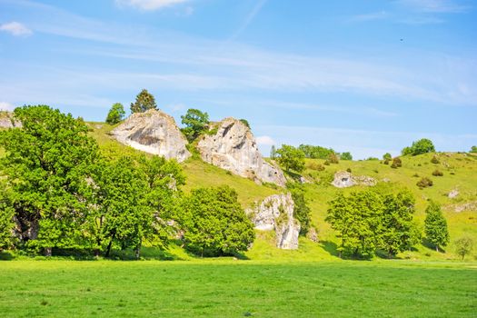 Rocks at valley Eselsburger Tal near river Brenz - jewel of the swabian alps, meadow in front