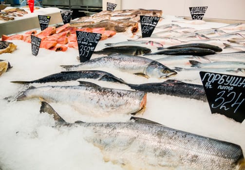 Fresh Fish on ice for sale at market