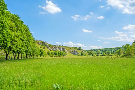 Valley Eselsburger Tal near river Brenz - jewel of the swabian alps (Schwaebische Alb), green meadow / grassland in front