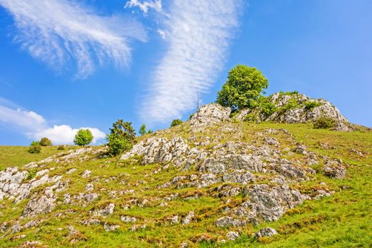 Rocks at valley Eselsburger Tal near river Brenz - jewel of the swabian alps, meadow in front