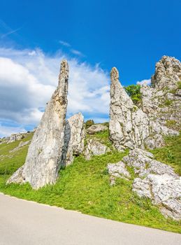 Rock formation "Steinerne Jungfrauen" in valley Eselsburger Tal near river Brenz - jewel of the swabian alps, meadow in front