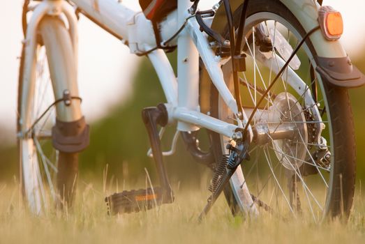 detail of bicycle closeup on grass field.