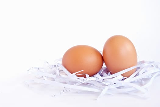 eggs in a white nest on background white 