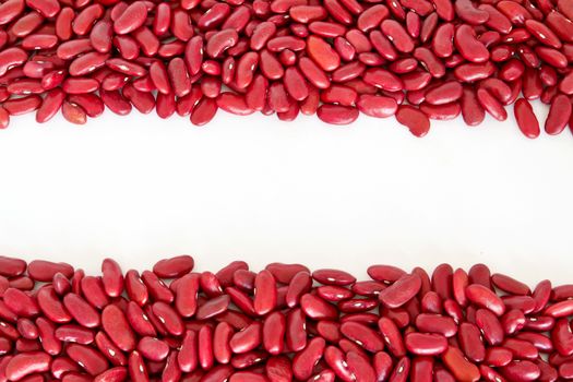 Rad beans stripes isolated in white background