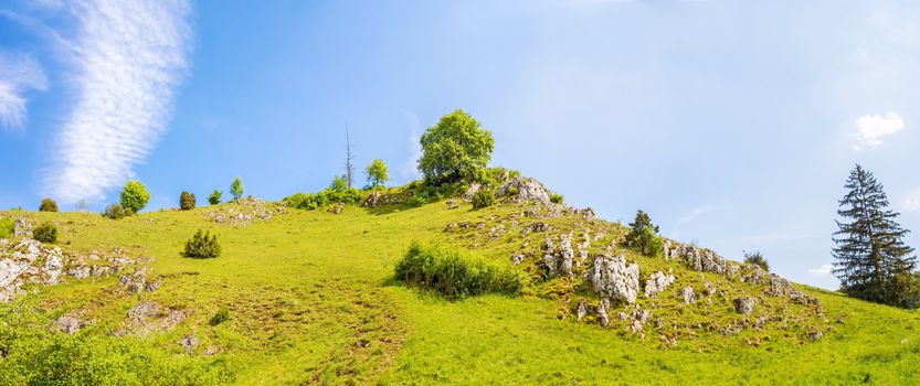 Panorama of rocks at valley Eselsburger Tal near river Brenz - jewel of the swabian alps, meadow in front