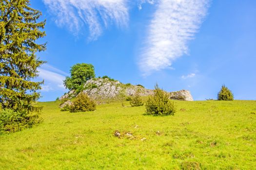 Rocks at valley Eselsburger Tal near river Brenz - jewel of the swabian alps, meadow in front