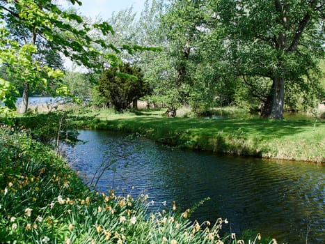 Small beautiful brook stream river in a green lush forest nature background        