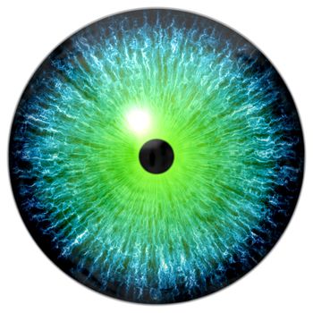 Illustration of a blue, green eye with light reflection on a white background.