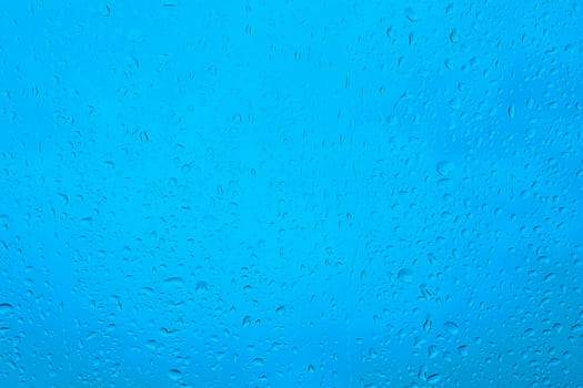 Water drops on the blue clean glass background.