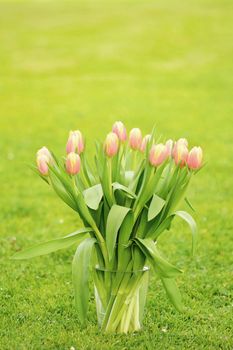 Pink tulips in the glass vase on the grass in garden.