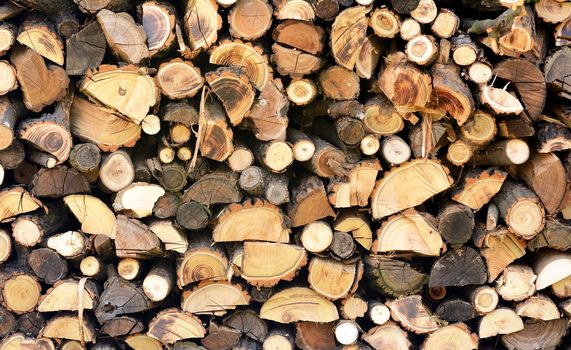 Pile of firewood placed to the wood house.