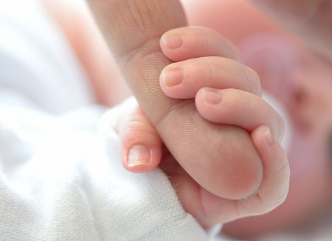 Newborn hand holding the finger of his parent.