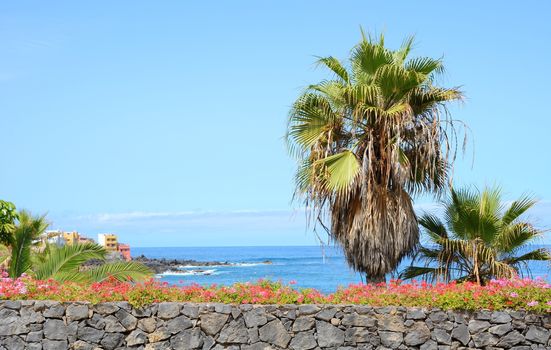 View of the ocean with palm trees in the foreground.