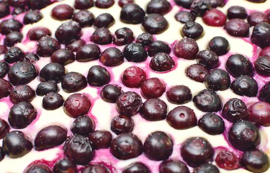 Surface of the blueberry cheese pie. Abstract background.