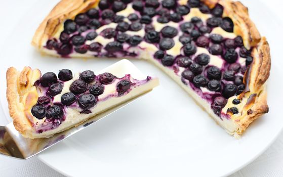 Piece of the blueberry cheese pie on a cake scoop.