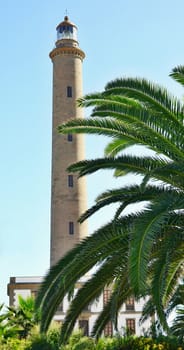 Lighthouse in Maspalomas with palm in front, Gran Canaria 