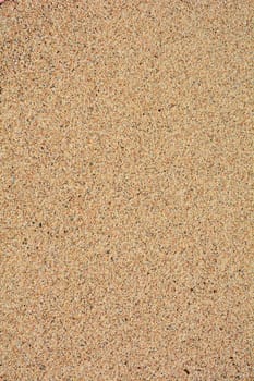 Dark brown background from the sand on the beach.