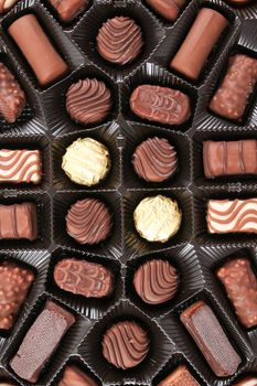 An assortment of fine chocolates in white, dark, and milk chocolate