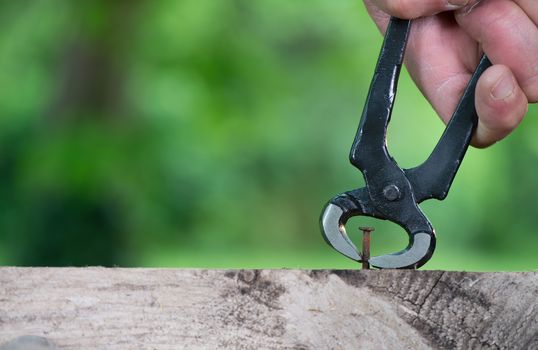 Pulling a carpenter tip on wood with pliers outdoor