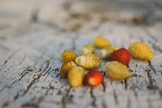 yellow and red Strawberry on the old tree stump with cracks.