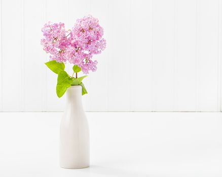 Beautiful purple lilacs in a vase with abundant copy space.