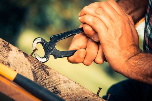 Pulling a carpenter tip on wood with pliers outdoor