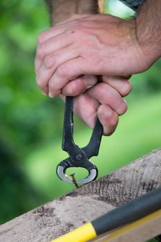 Pulling a carpenter tip on wood with pliers outdoor