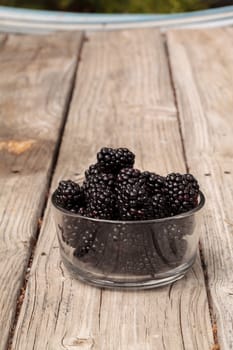 Clear glass bowl of ripe blackberries on a rustic farm picnic table in summer.