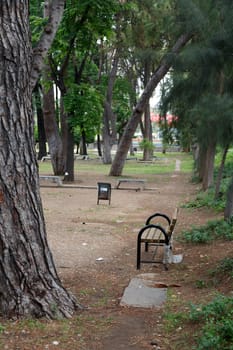 View of natural park with big green trees and pathway.