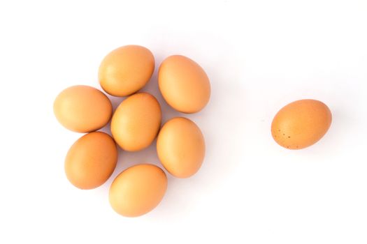 eggs isolated on white background 
