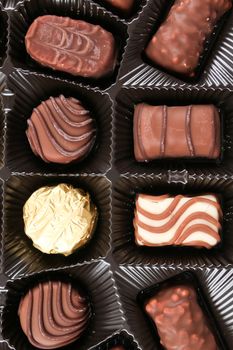 An assortment of fine chocolates in white, dark, and milk chocolate