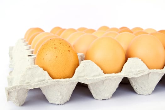 eggs in a package to isolate the background 