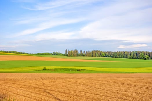 Farmland - brown field, green meadow, rural landscape