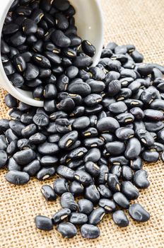 Black Beans with ceramic bowl on sack background.