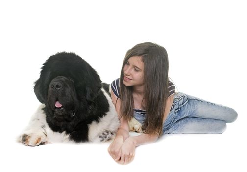 teenager and newfoundland dog in front of white background