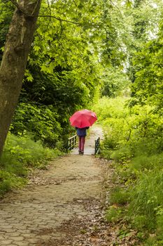 Girl with red umbrella walking away through the forest