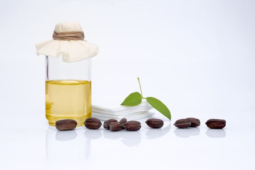 Jojoba (Simmondsia chinensis) leaves, seeds and oil on withe background