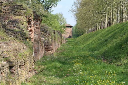 Wall to wall in the city of Ferrara