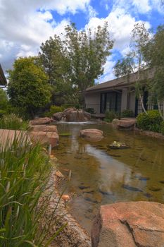 Orange, CA, USA —May 7, 2016: Plant life, koi fish and a waterfall in a pond in Southern California in spring.